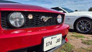 American Vintage 2025 galerie photo